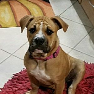 Meet your Posher, Gretchen